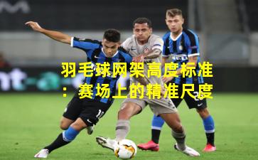 羽毛球网架高度标准：赛场上的精准尺度