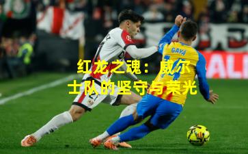 红龙之魂:威尔士队的坚守与荣光