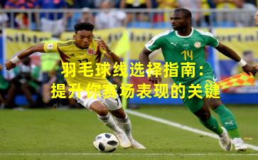 羽毛球线选择指南：提升你赛场表现的关键