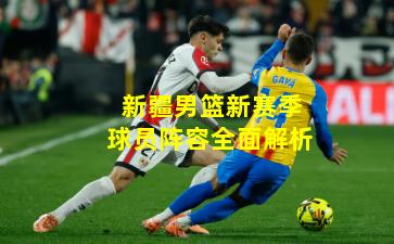 新疆男篮新赛季球员阵容全面解析